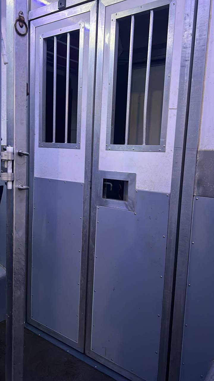 Van per Cavalli Renault Master 2020 Occasione