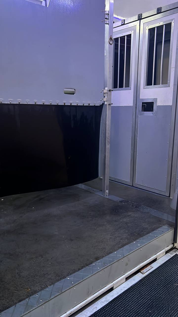 Van per Cavalli Renault Master 2020 Occasione