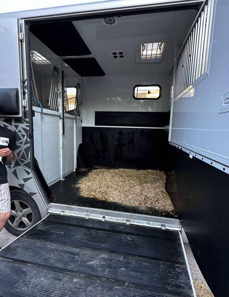 Van per Cavalli Renault Renault Master  2011 Occasione