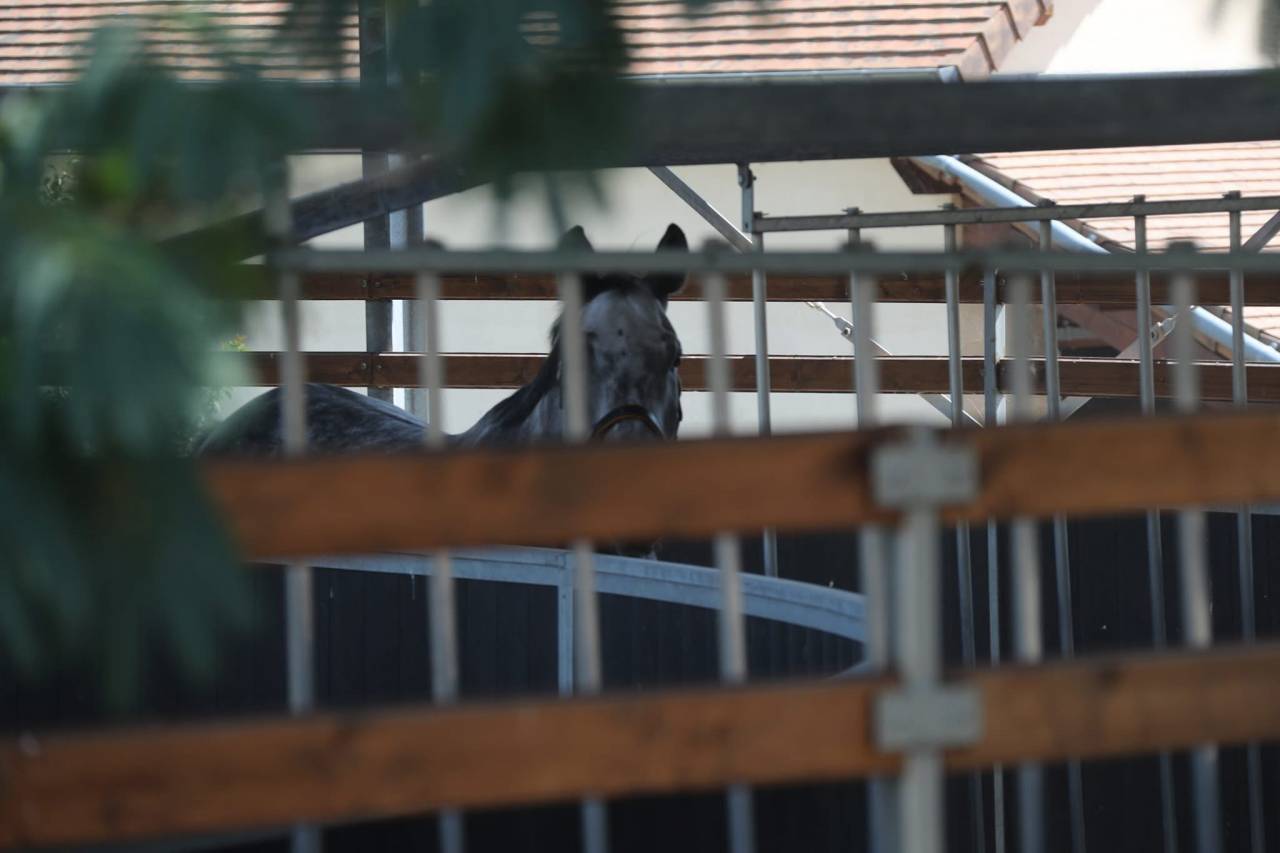 Centro di stagione cavallo In vendita Sa&ocirc;ne-et-Loire