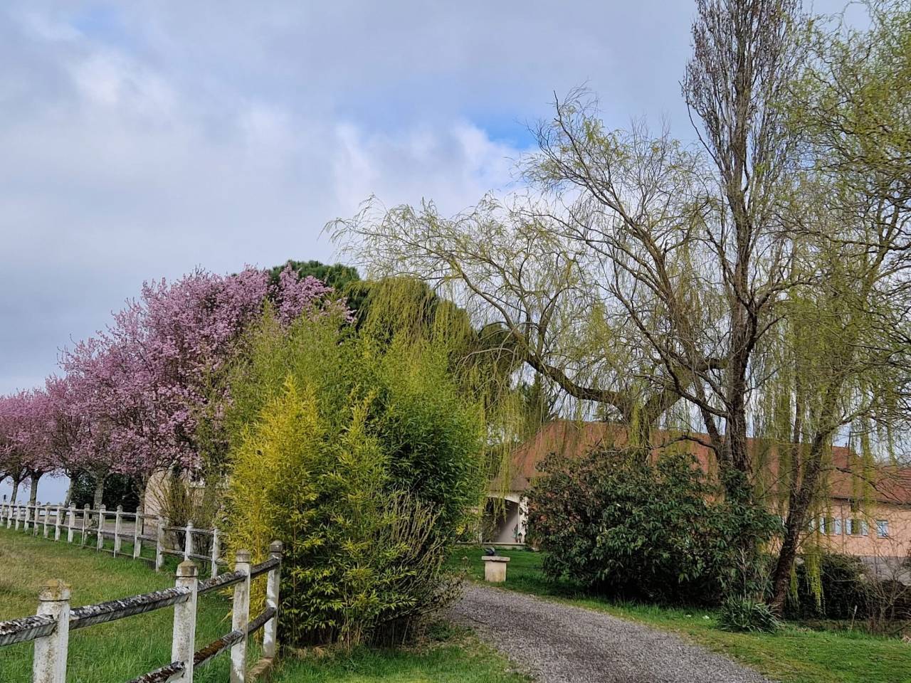 Centro di stagione cavallo In vendita Sa&ocirc;ne-et-Loire
