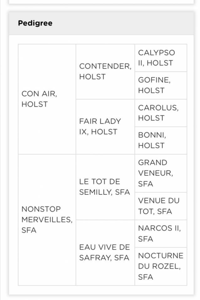 Cavalla Sella Francese In vendita 2014 Baio ,  CON AIR