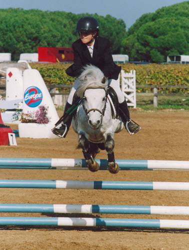 Fury des Mauvis - Dartmoor 1993 ,  SHILSTONE ROCKS AVALANCHE (GBR)