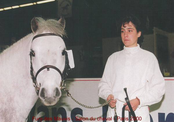 Fury des Mauvis - Dartmoor 1993 ,  SHILSTONE ROCKS AVALANCHE (GBR)