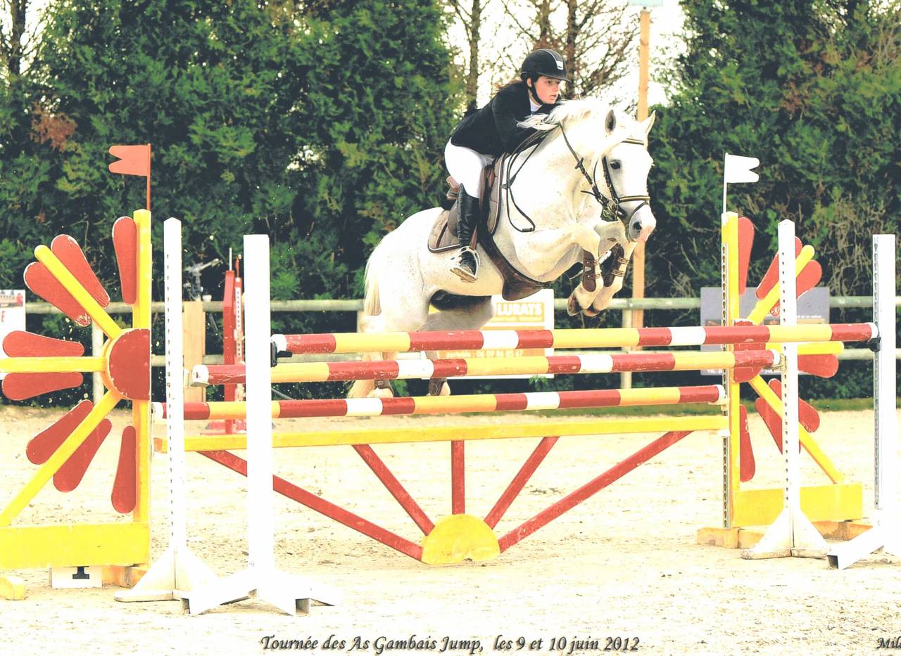 Iwan de Villate - PFS Pony Francese da Sella 1996 ,  VVHISKY VIF ARGENT