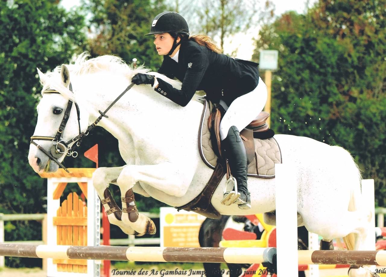 Iwan de Villate - PFS Pony Francese da Sella 1996 ,  VVHISKY VIF ARGENT