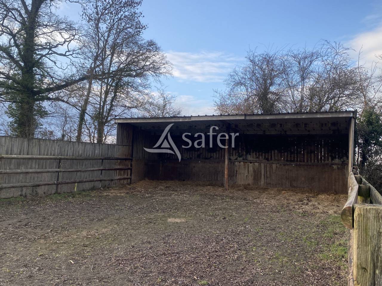 Azienda forestale In vendita Orne