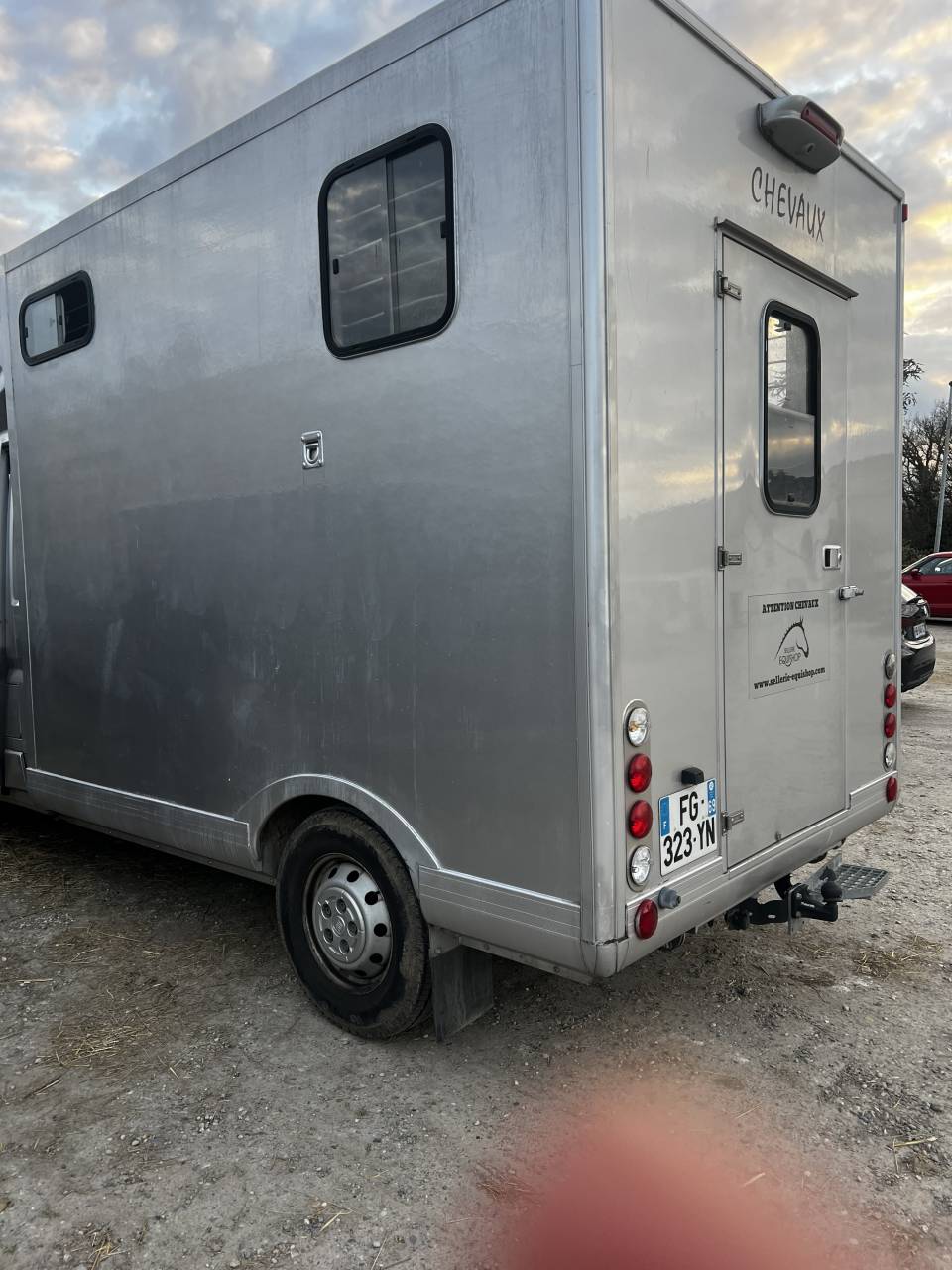 Van per Cavalli Fiat  Ducato 2020 Nuovo