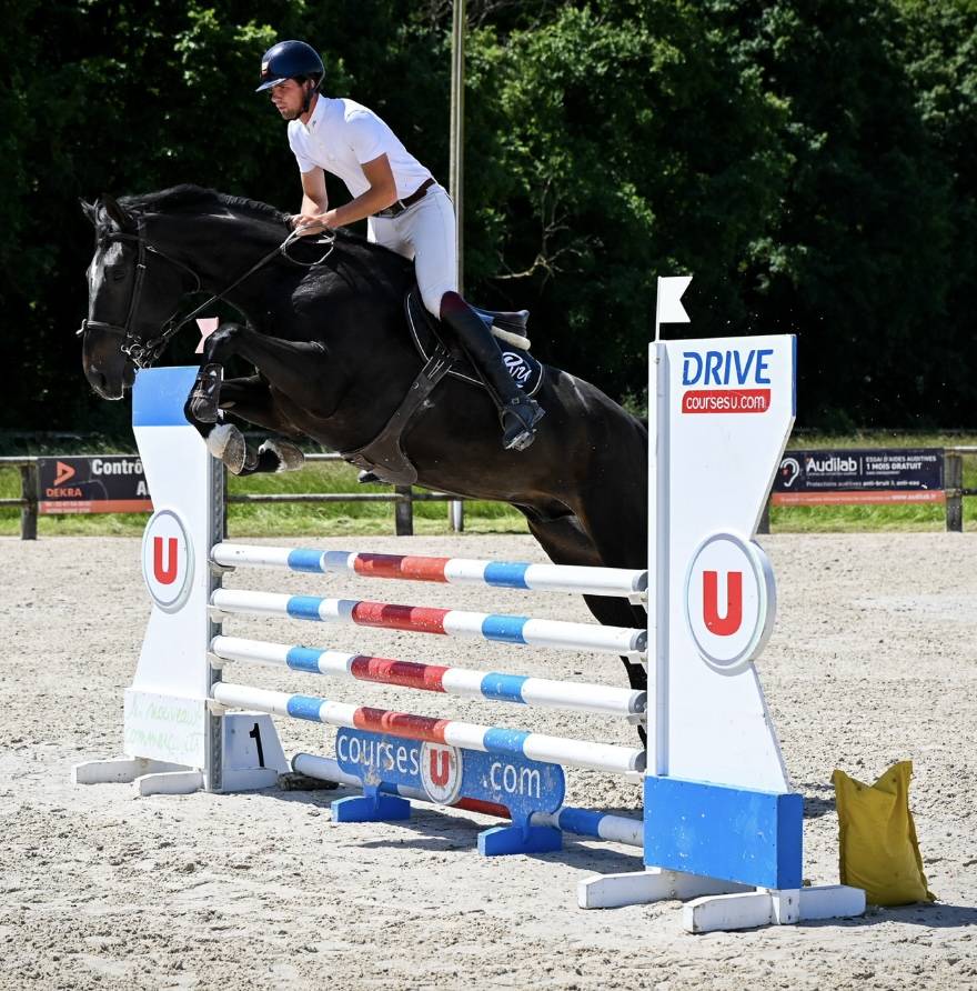 Castrone Zangersheide In vendita 2021 Nero ,  Columbus Z