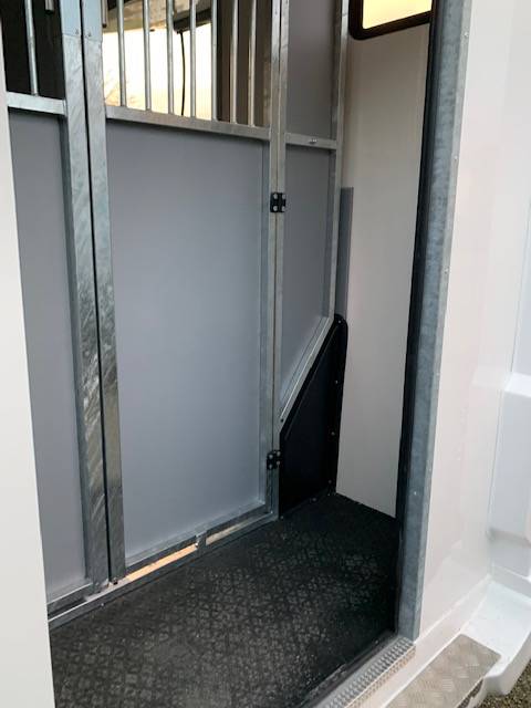 Van per Cavalli AP Petit Master 2021 2021 Occasione