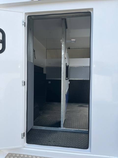 Van per Cavalli AP Petit Master 2021 2021 Occasione