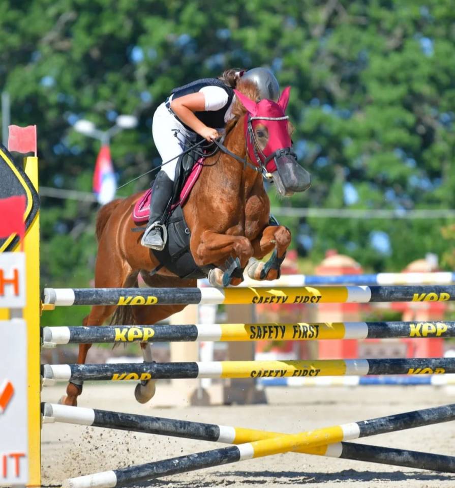 Pony competitiva Salto ostacoli