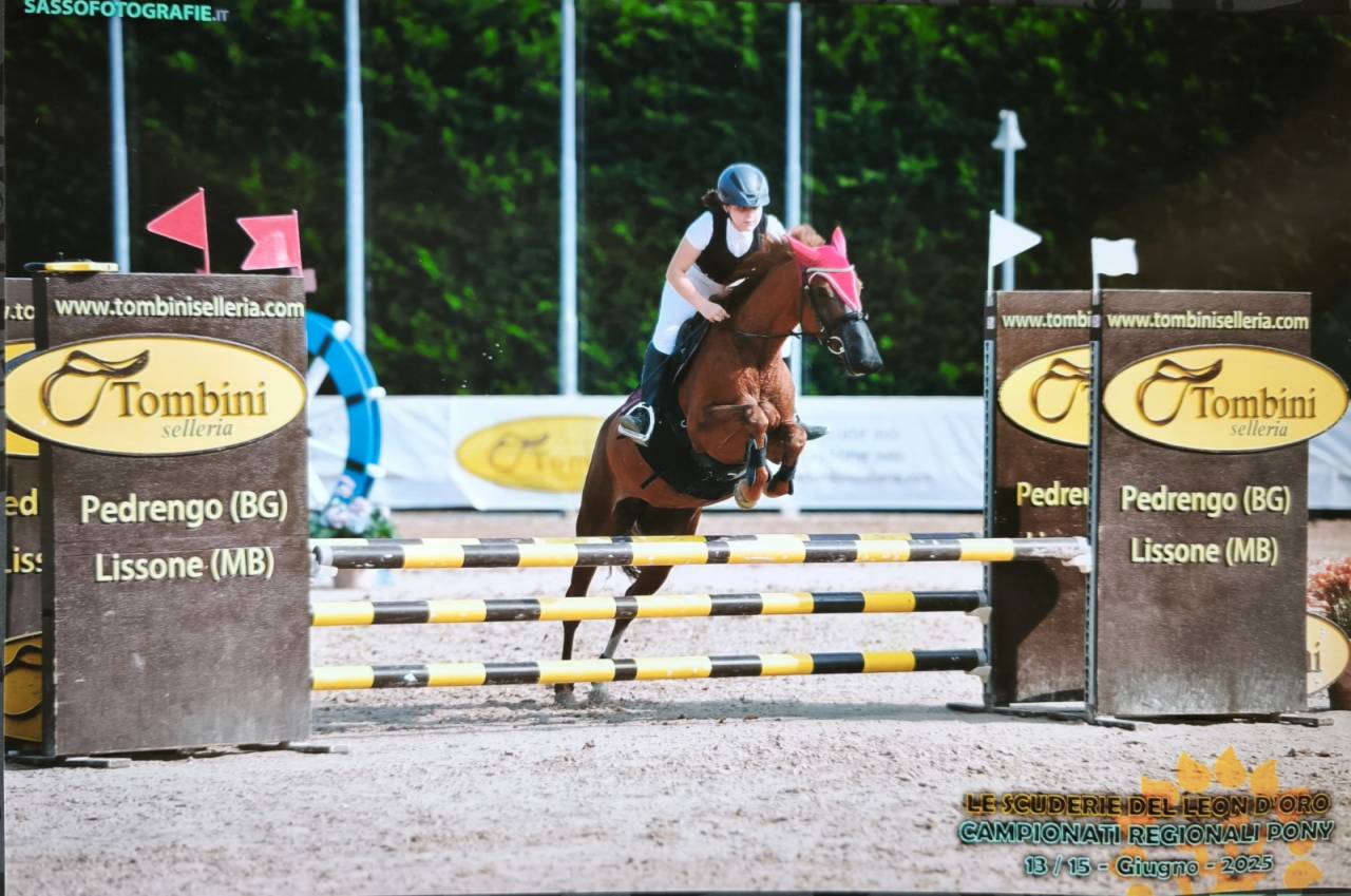 Pony competitiva Salto ostacoli