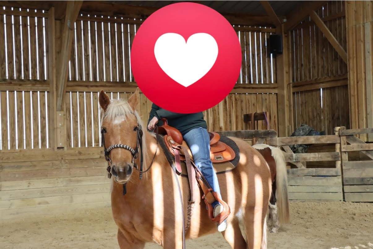 Castrone Quarter Horse In vendita 2020 Palomino