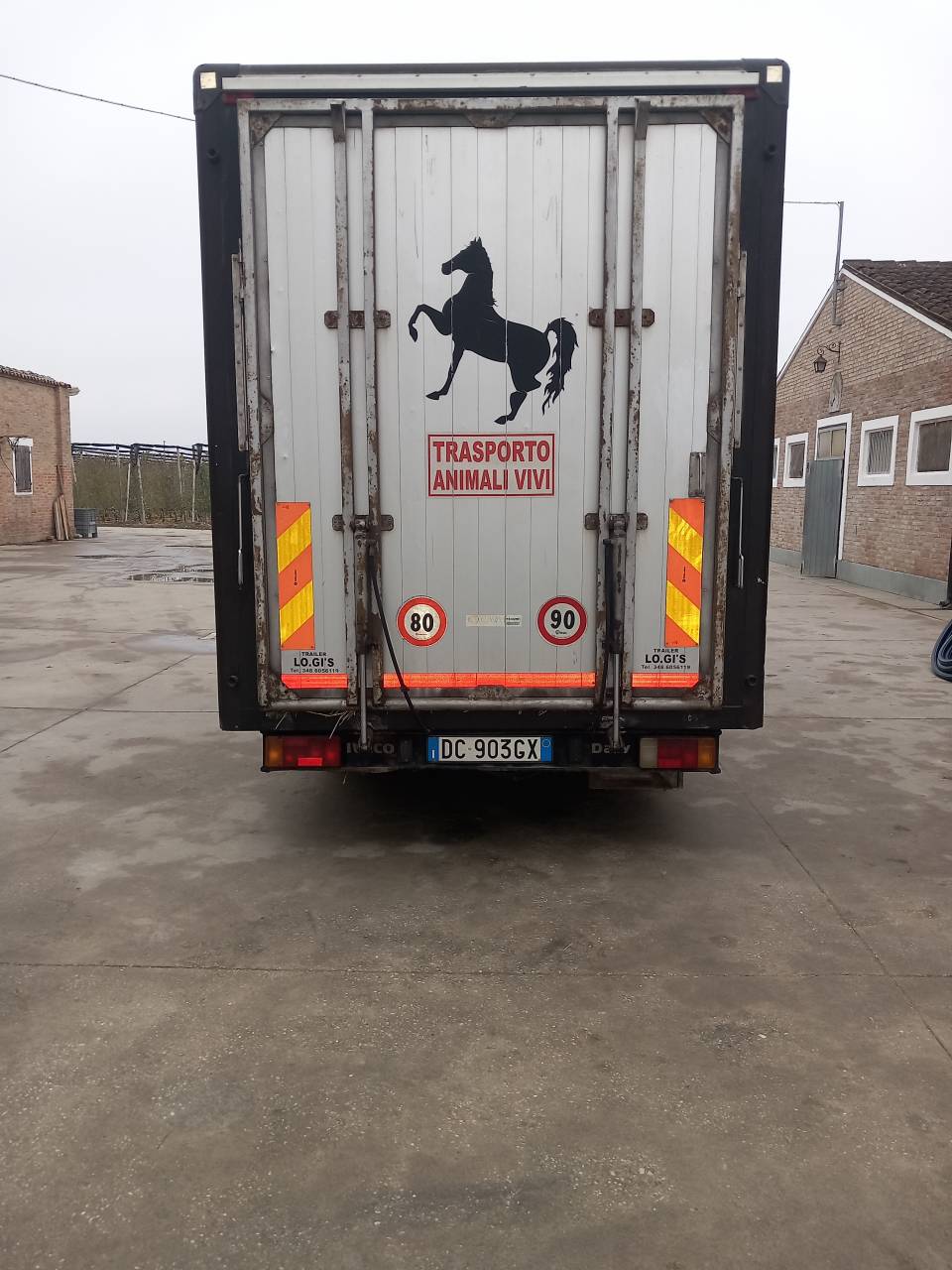 Camion trasporto cavalli