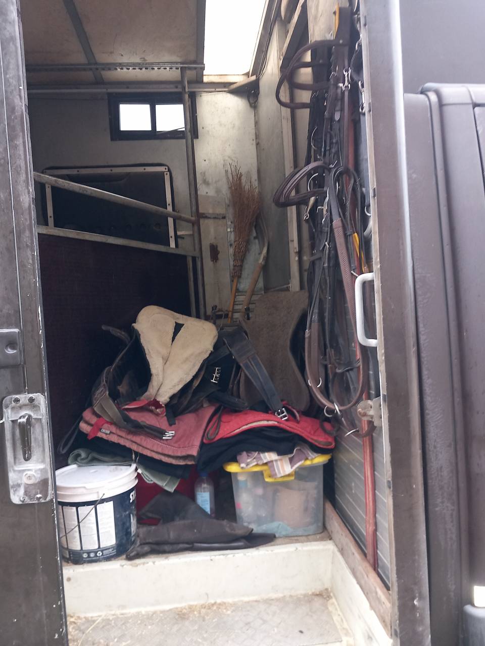 Camion trasporto cavalli