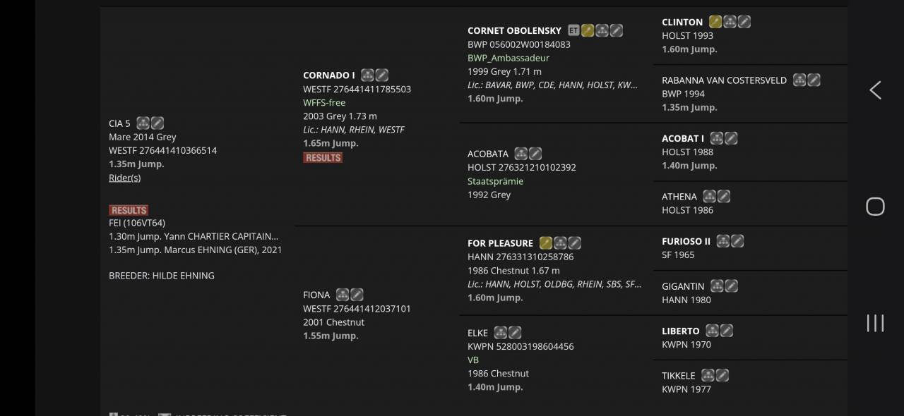 Puledra di ottima genealogia