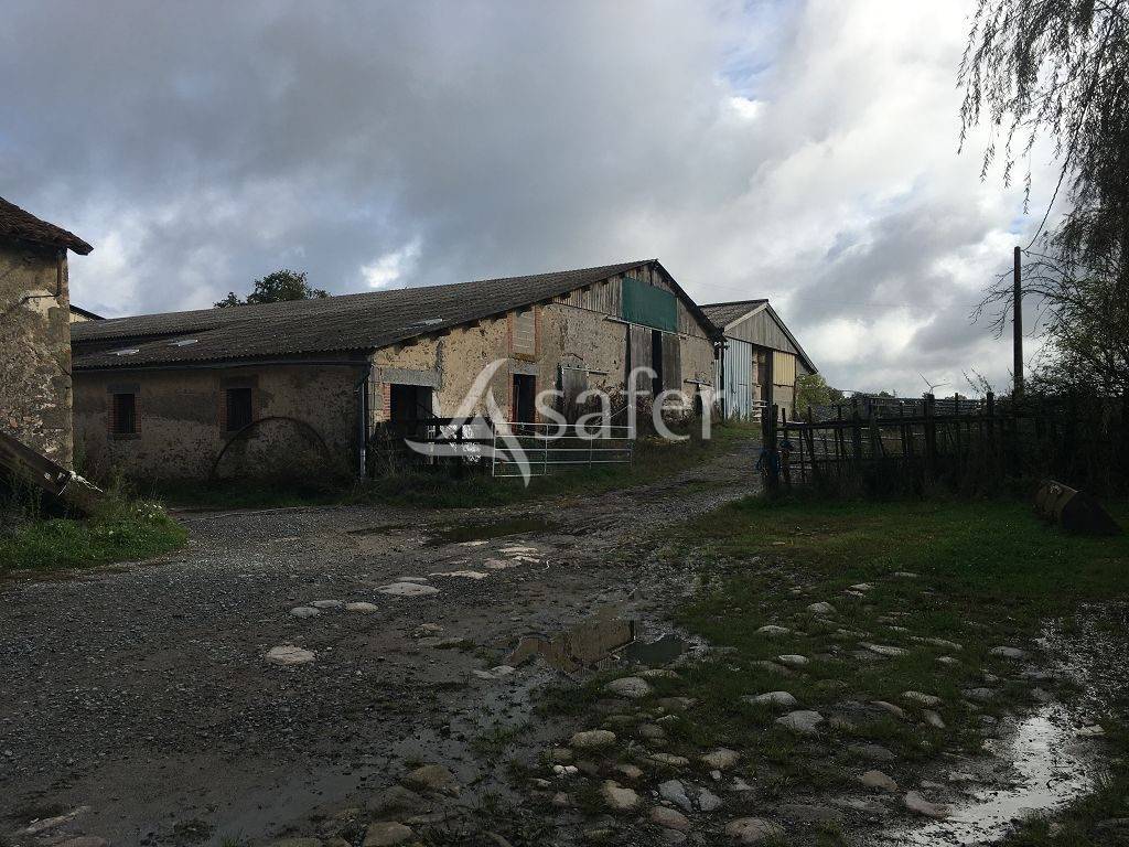 Azienda ovina In vendita Haute-Vienne