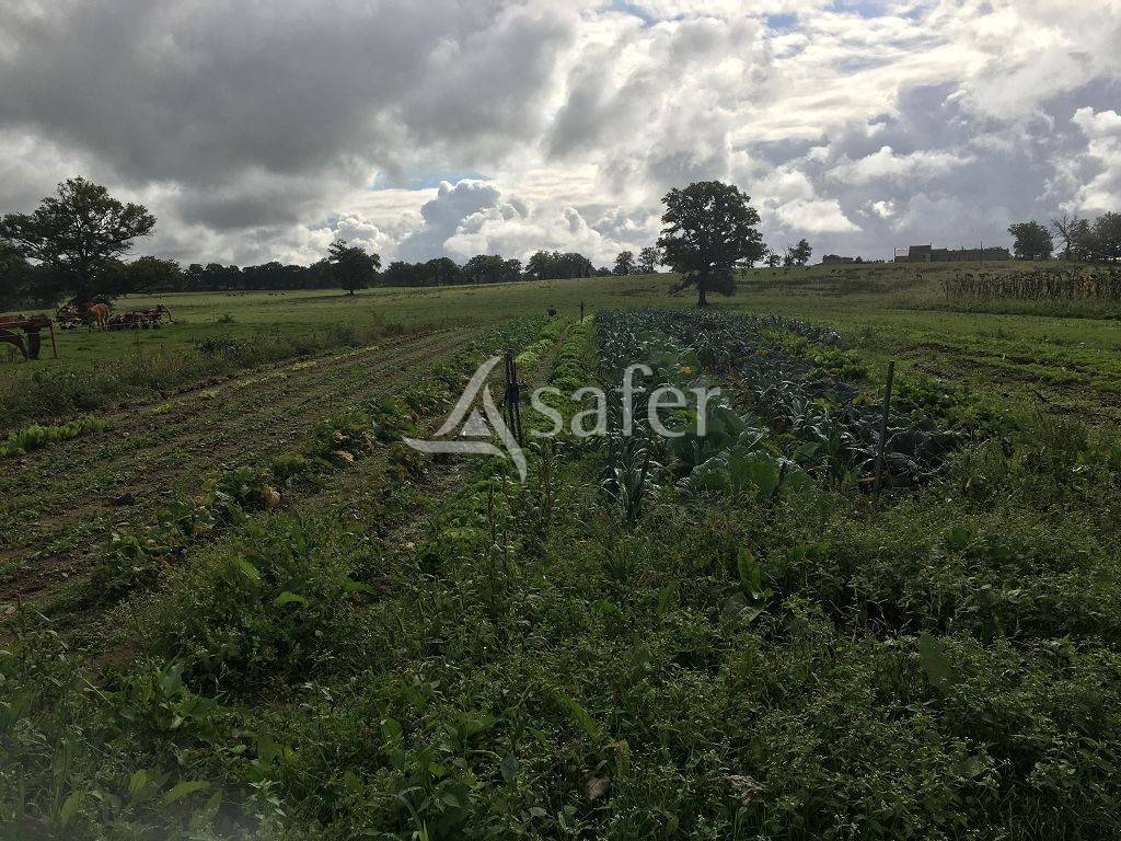 Azienda ovina In vendita Haute-Vienne