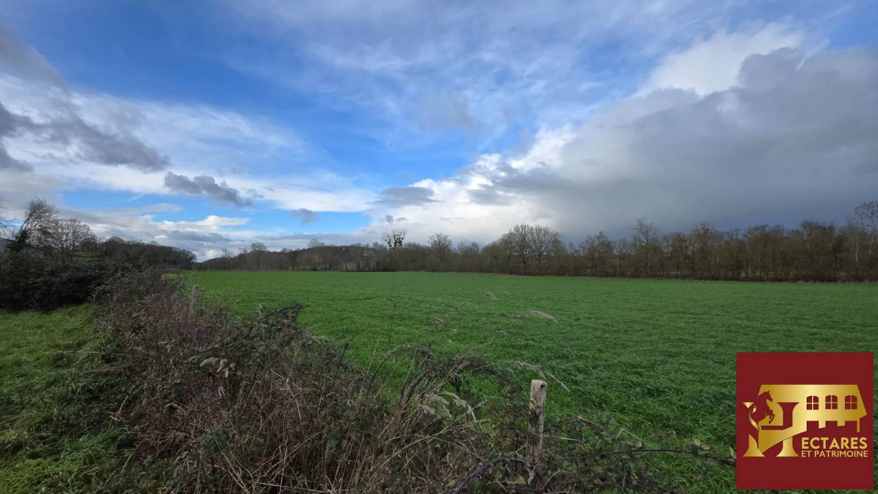 Propriet&agrave; equestre In vendita Maine-et-Loire