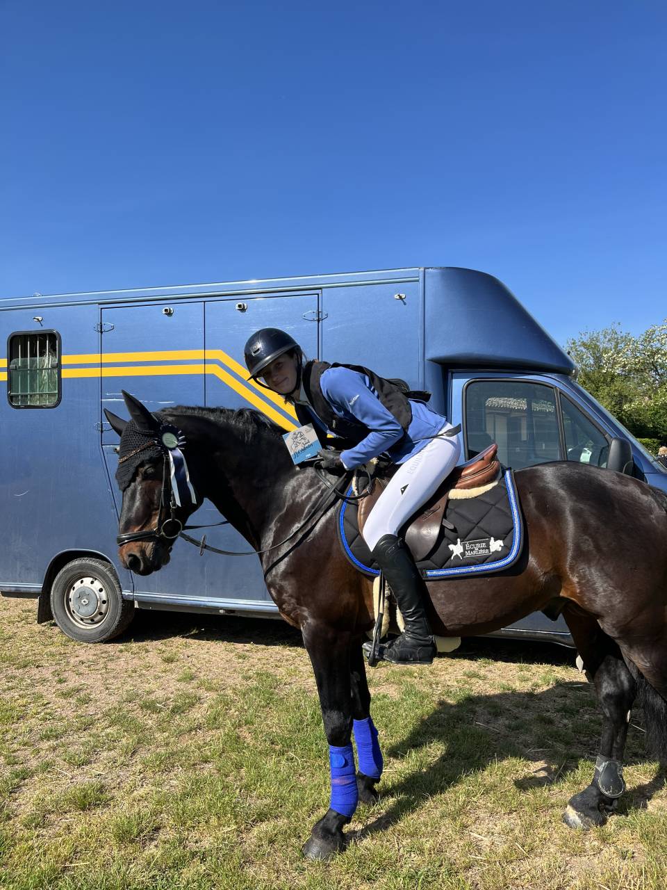 Intero Connemara In vendita 2009 Baio scuro ,  BABY BOY DE RHONON