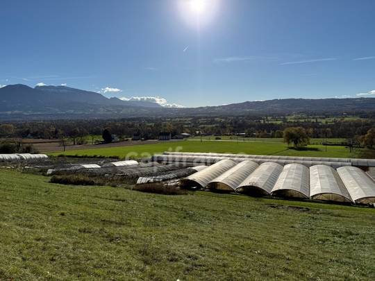 Propriet&agrave; equestre In vendita Haute-Savoie