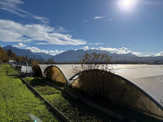 Propriet&agrave; equestre In vendita Haute-Savoie