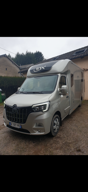 Van per Cavalli STX Master 2022 2022 Occasione