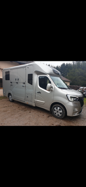 Van per Cavalli STX Master 2022 2022 Occasione