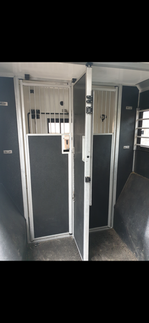 Van per Cavalli STX Master 2022 2022 Occasione