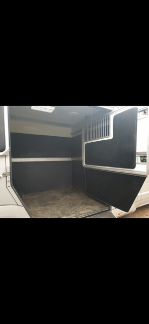 Van per Cavalli STX Master 2022 2022 Occasione