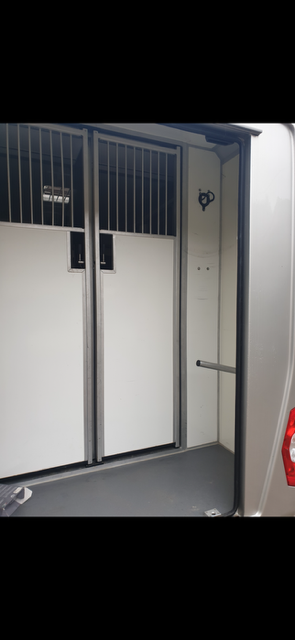 Van per Cavalli STX Master 2022 2022 Occasione