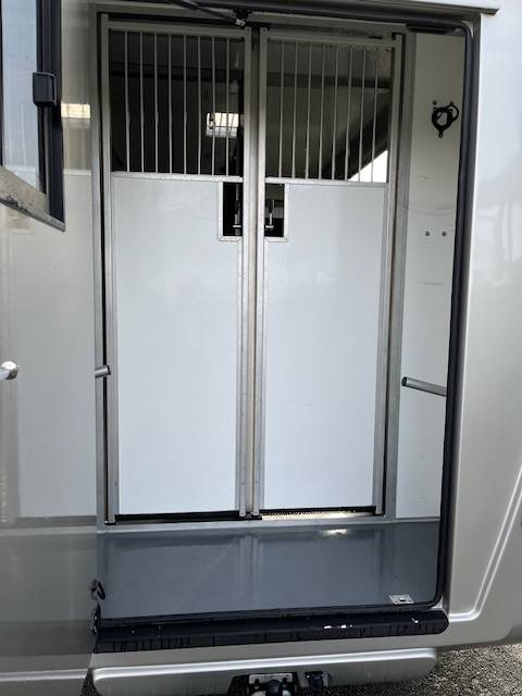 Van per Cavalli STX Master 2022 2022 Occasione