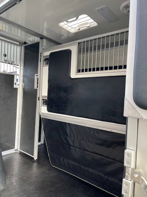 Van per Cavalli STX Master 2022 2022 Occasione