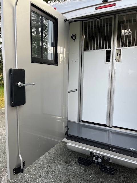 Van per Cavalli STX Master 2022 2022 Occasione