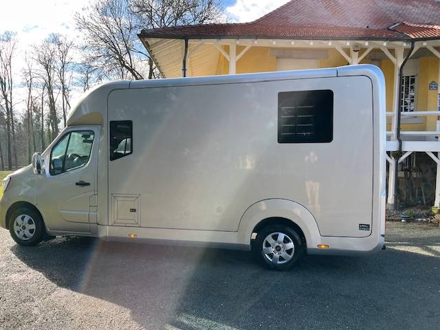 Van per Cavalli STX Master 2022 2022 Occasione