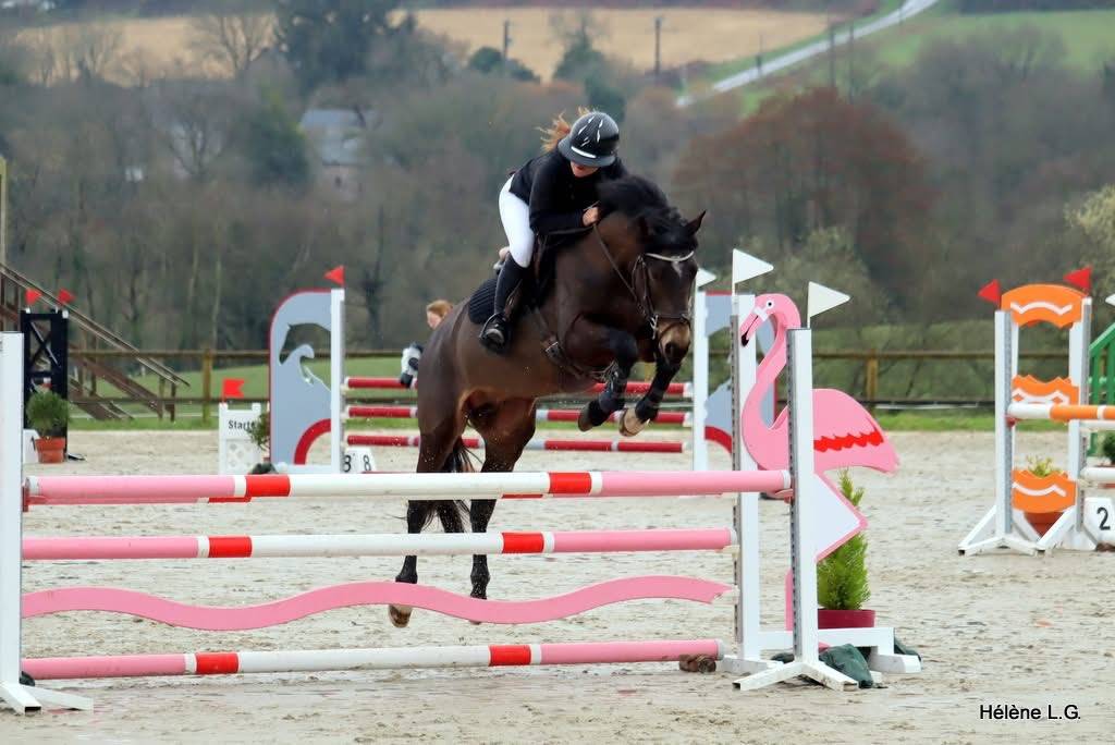 Jupiter d'Arquetan - PFS Pony Francese da Sella 2019 ,  IWAN DE VILLATE