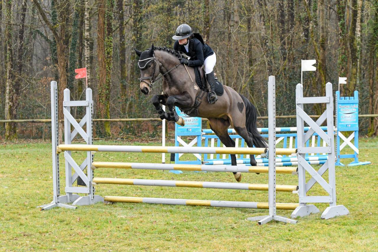 Jupiter d'Arquetan - PFS Pony Francese da Sella 2019 ,  IWAN DE VILLATE