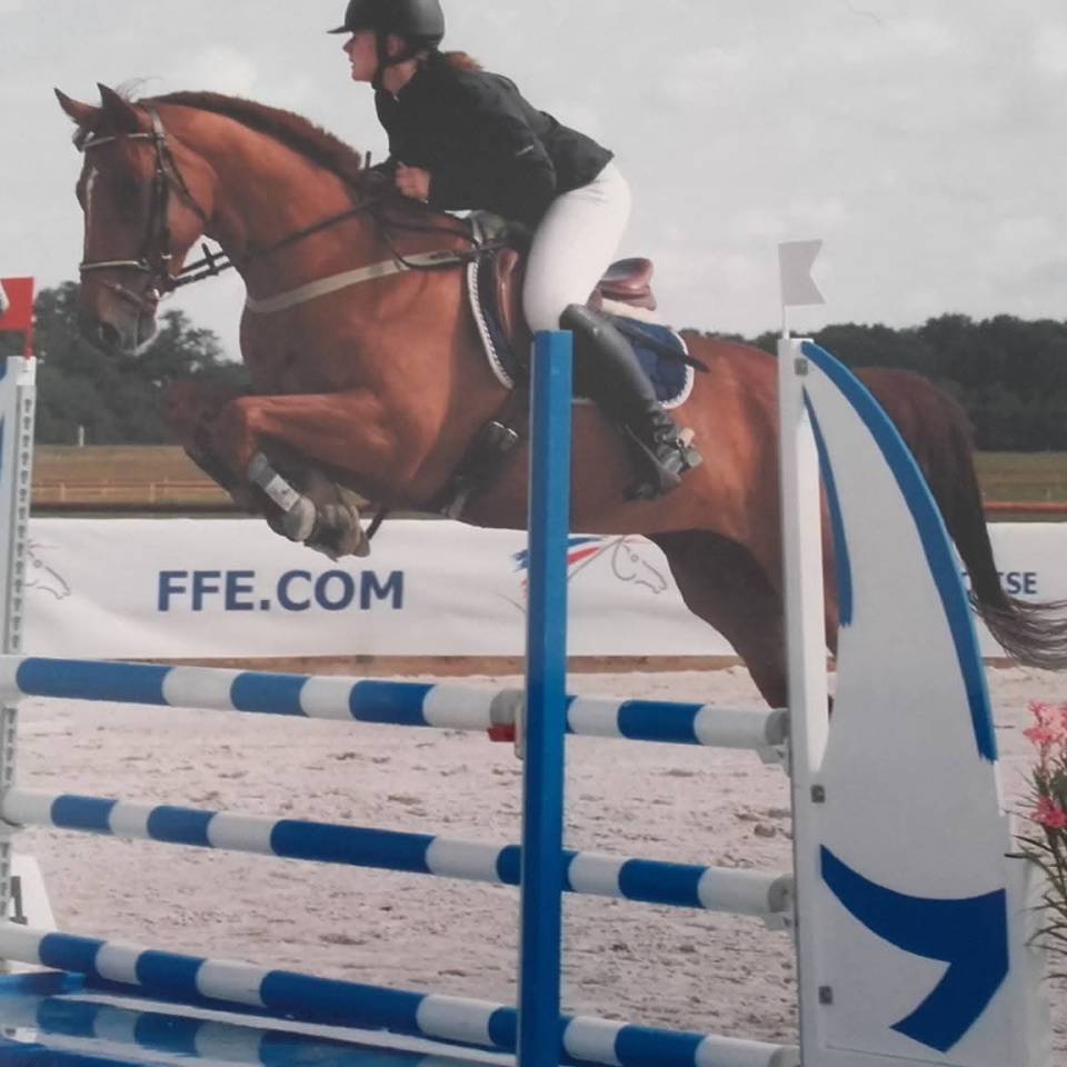 Cavalla Purosangue Inglese In vendita 2012 Sauro