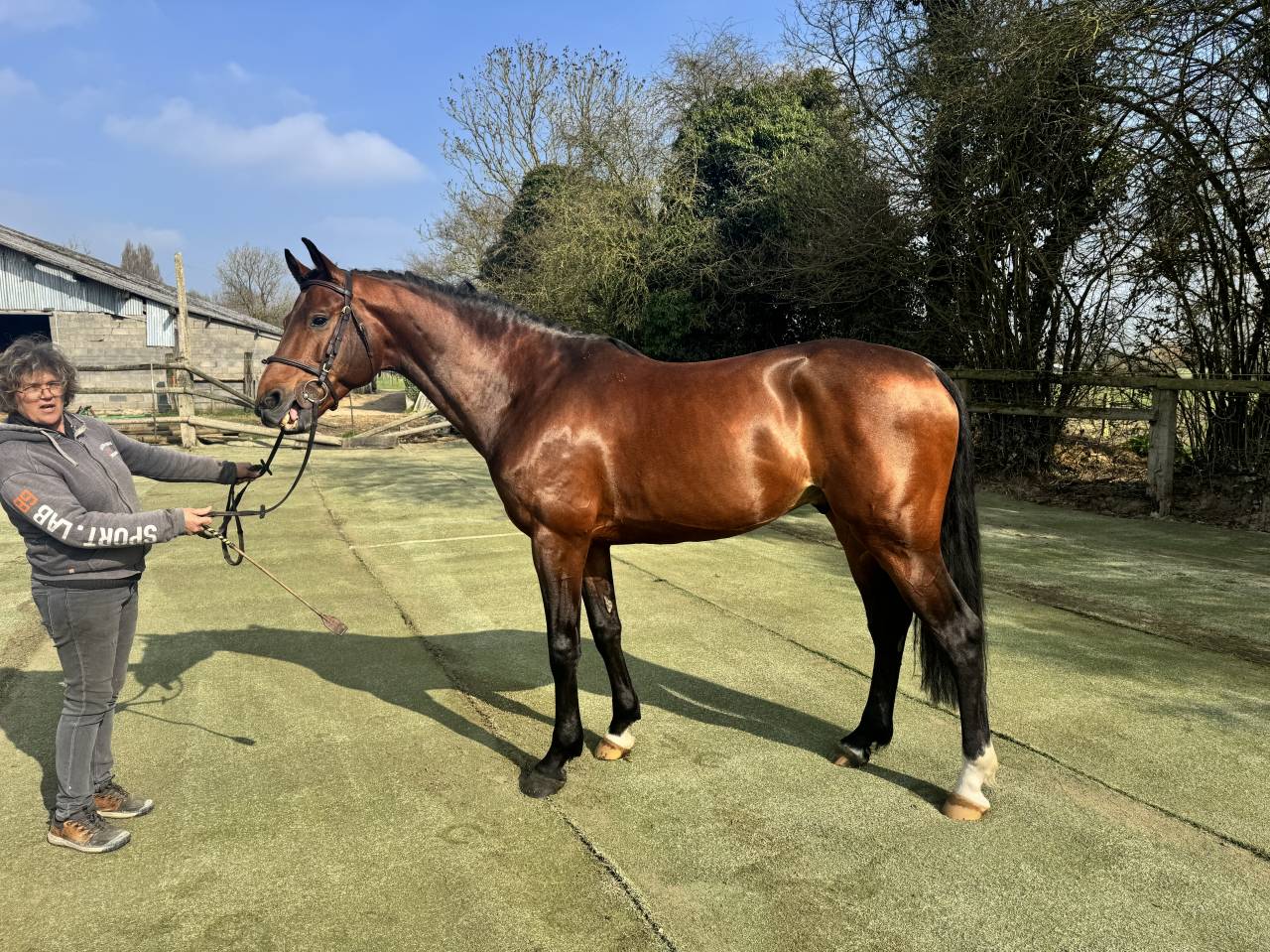 Cavaliere, CSO - Altro contratto Part-time - Calvados Francia