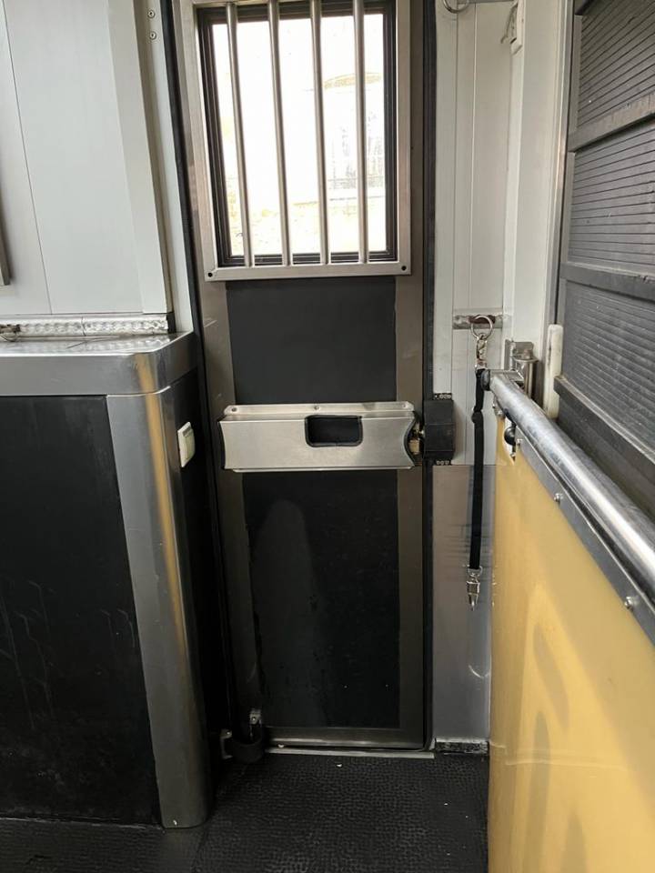 Camion per Cavalli Scania P380 2009 Occasione