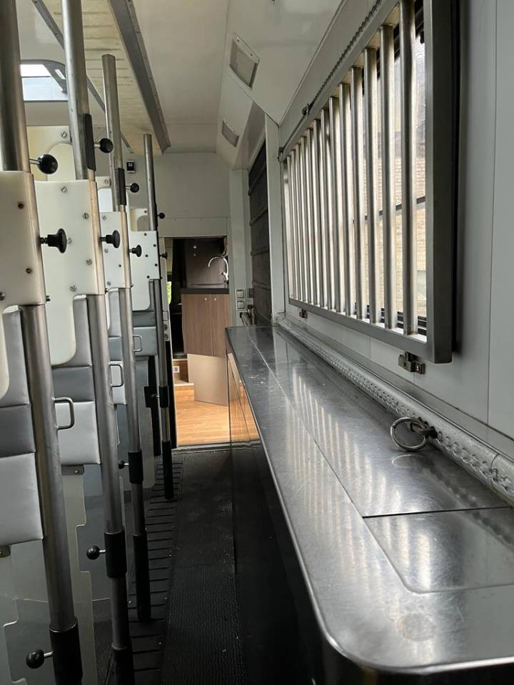 Camion per Cavalli Scania P380 2009 Occasione