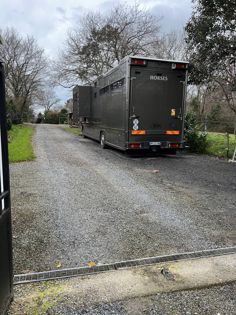 Camion per Cavalli Scania P380 2009 Occasione