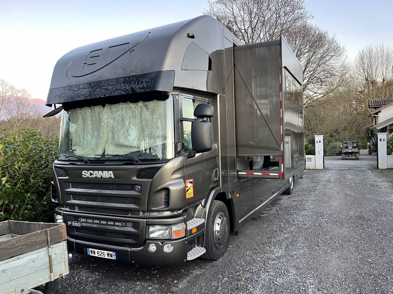 Camion per Cavalli Scania P380 2009 Occasione