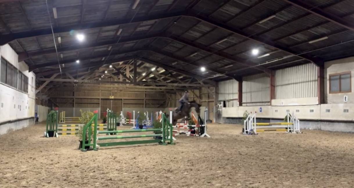 Cavalla sBs Cavallo da Sport Belgio In vendita 2012 Baio ,  FABEAU