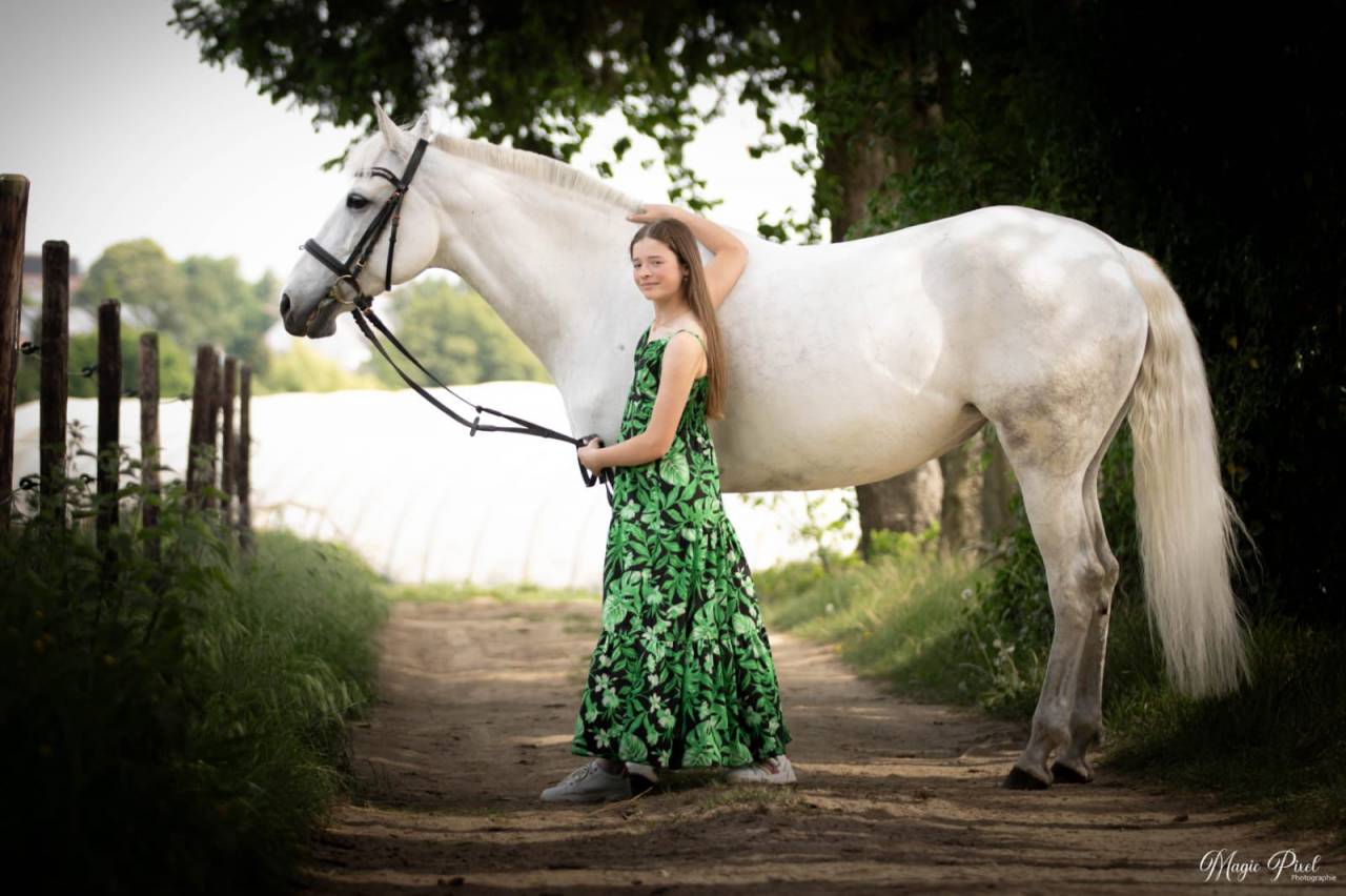 Cavalla Lusitano In vendita 2014 Grigio