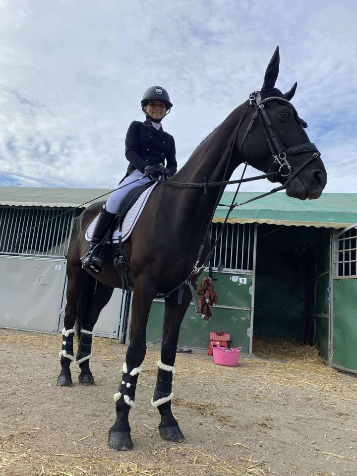 Castrone PFS Pony Francese da Sella In vendita 2011 Nero ,  HILKENS BLACK DELIGHT