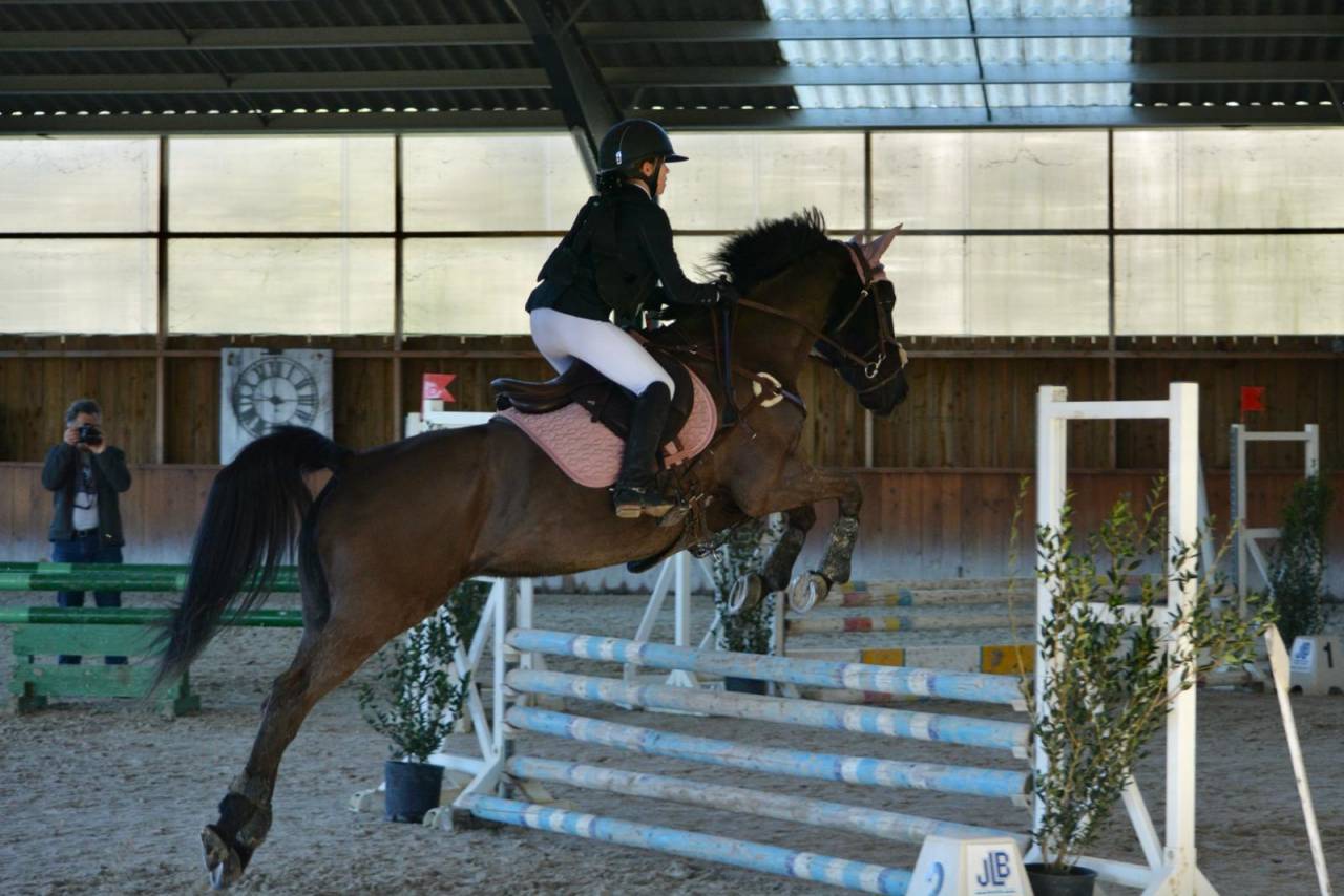 Castrone PFS Pony Francese da Sella In vendita 2011 Nero ,  HILKENS BLACK DELIGHT