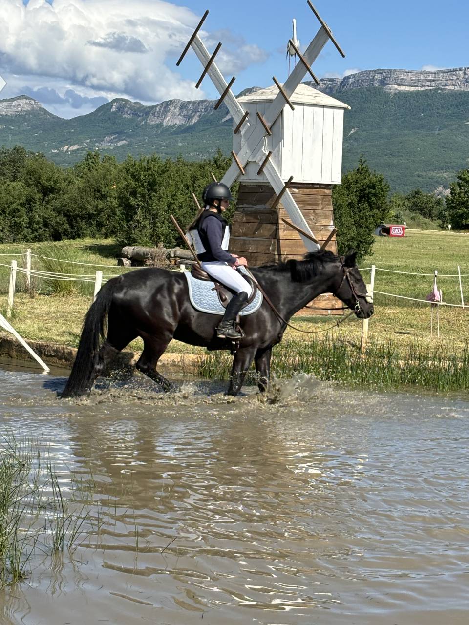 Castrone PFS Pony Francese da Sella In vendita 2011 Nero ,  HILKENS BLACK DELIGHT