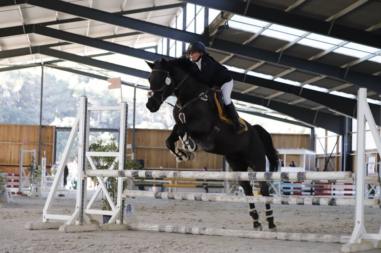 Castrone PFS Pony Francese da Sella In vendita 2011 Nero ,  HILKENS BLACK DELIGHT